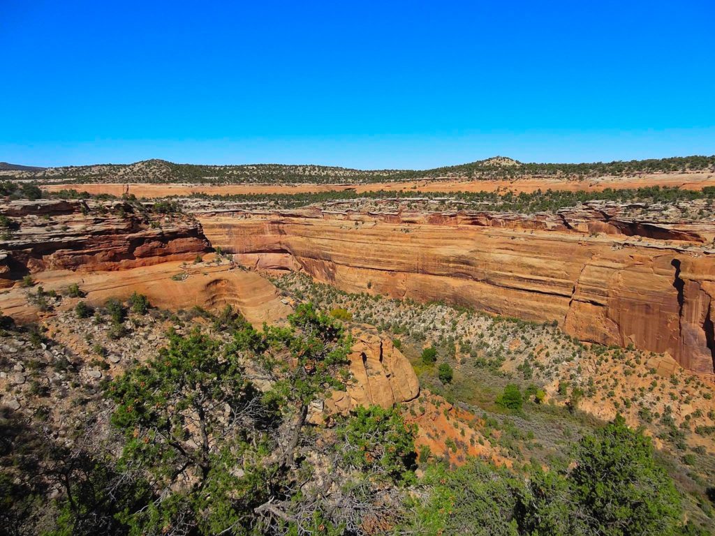 Rattlesnake Canyon Arches Hike Review