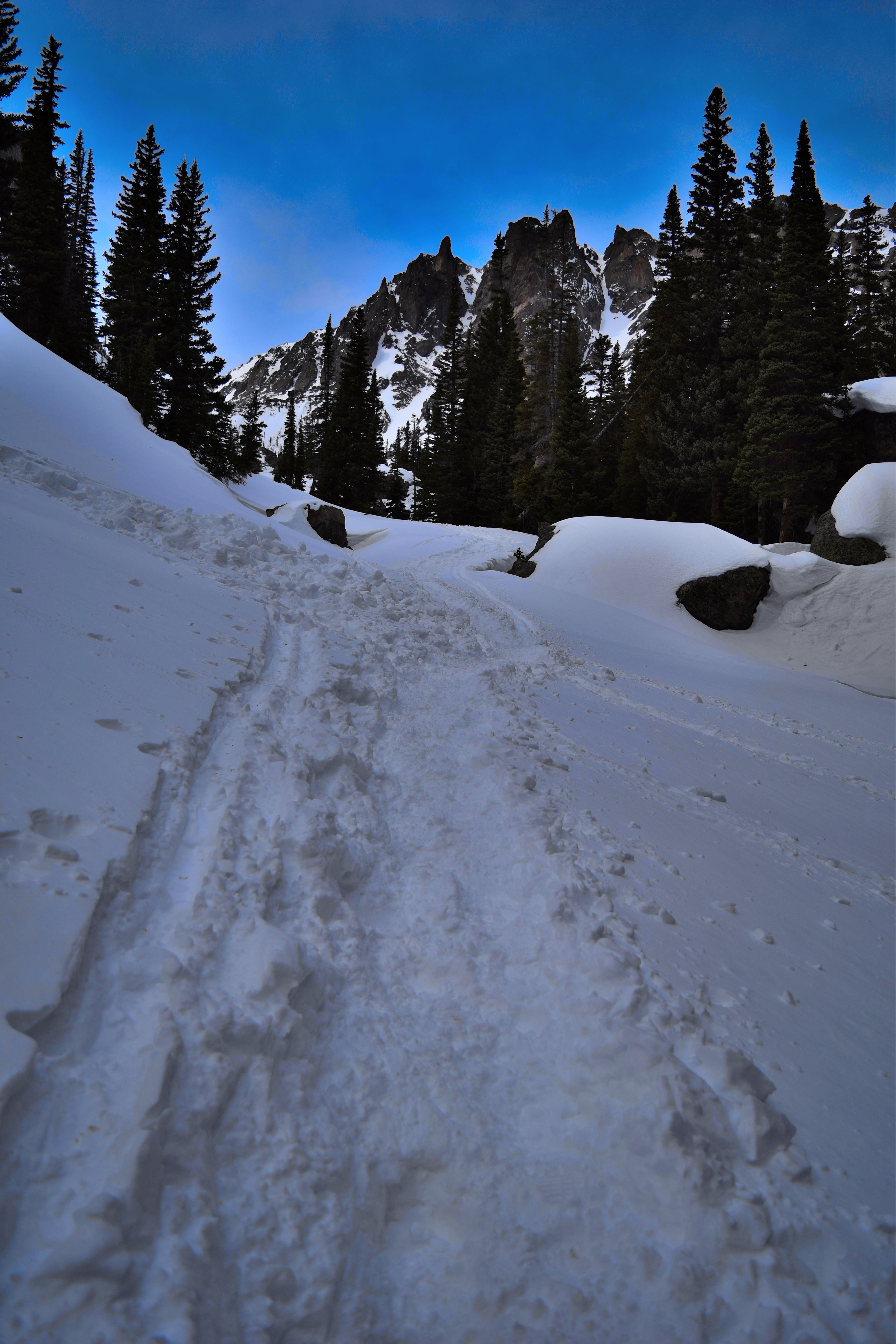 Emerald Lake Rocky Mountain National Park Review