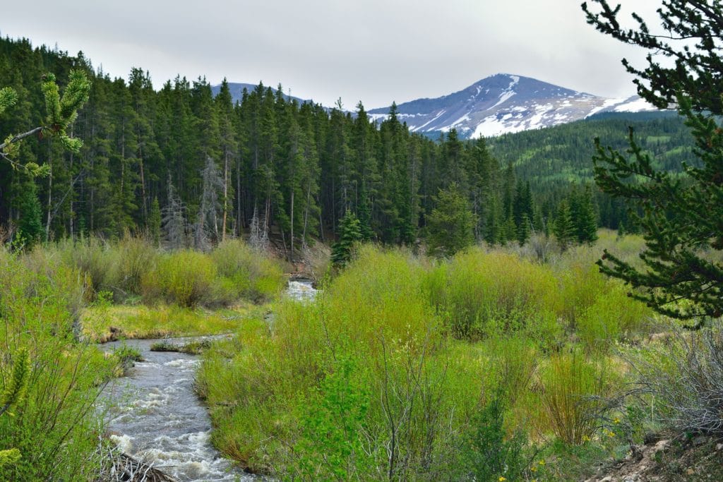 Buffalo Peaks Loop Hike Review