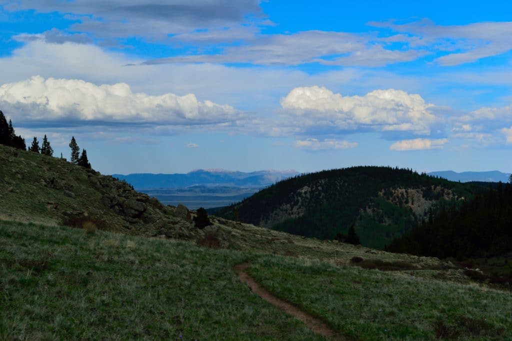 Buffalo Peaks Loop Hike Review