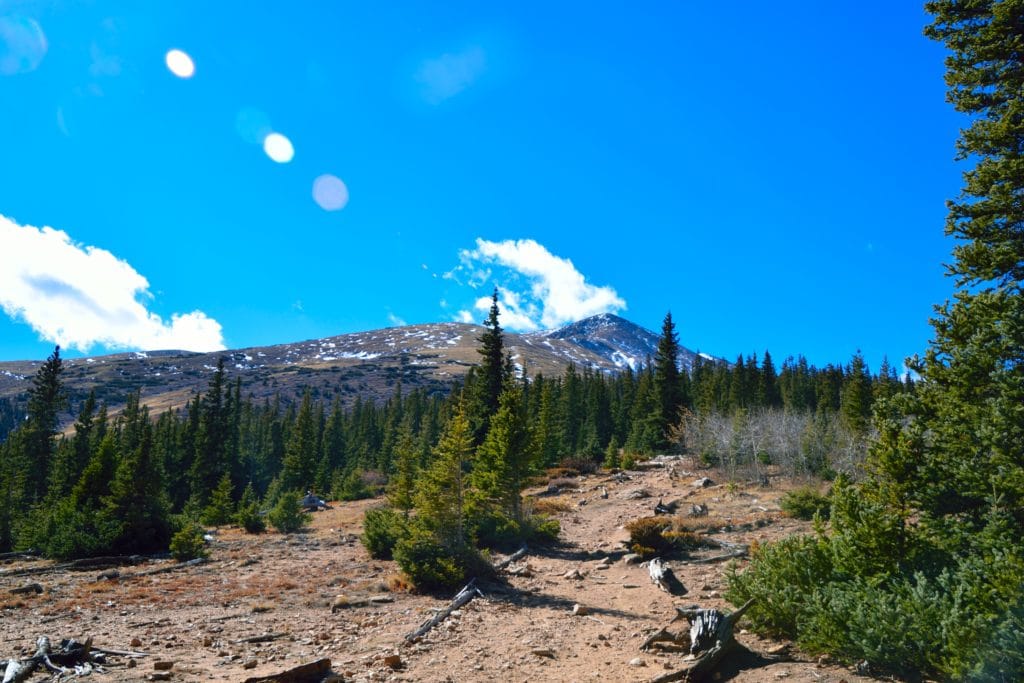 Mt Elbert 14er Hike Trail Guide