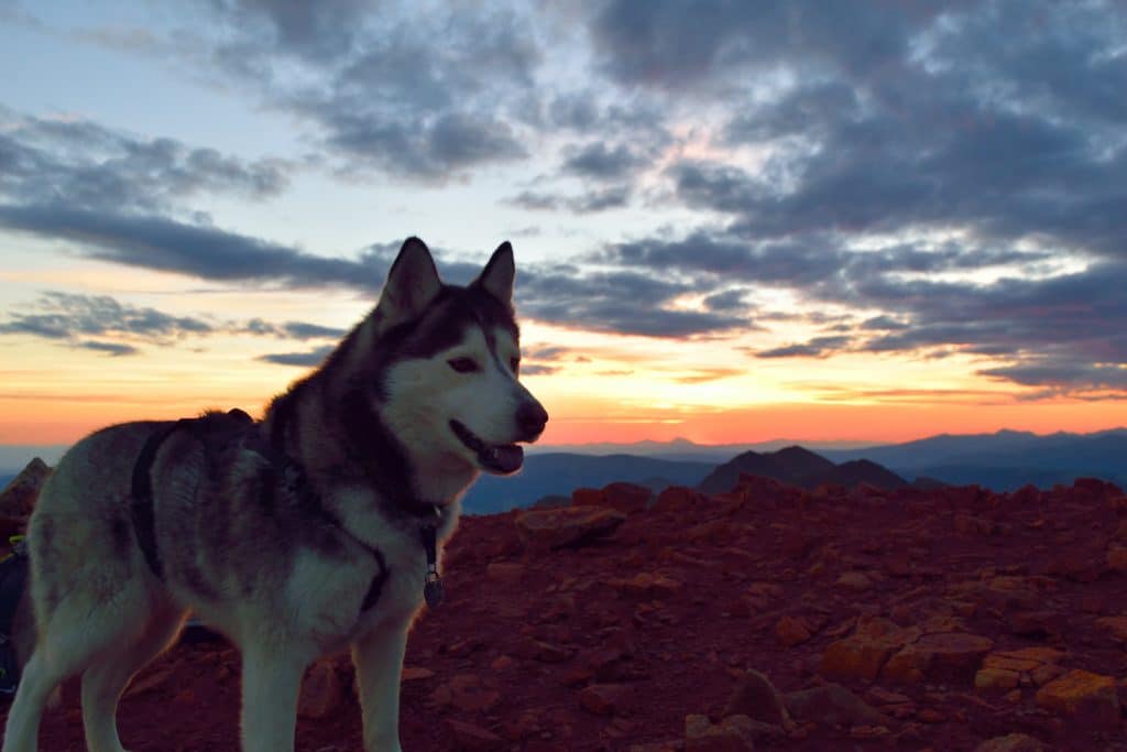 Red Cloud Peak & Sunshine Peak Hike Review