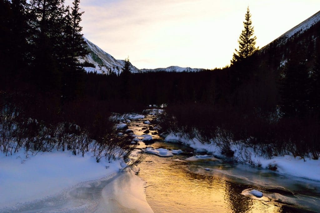 Mt Antero Hike Review