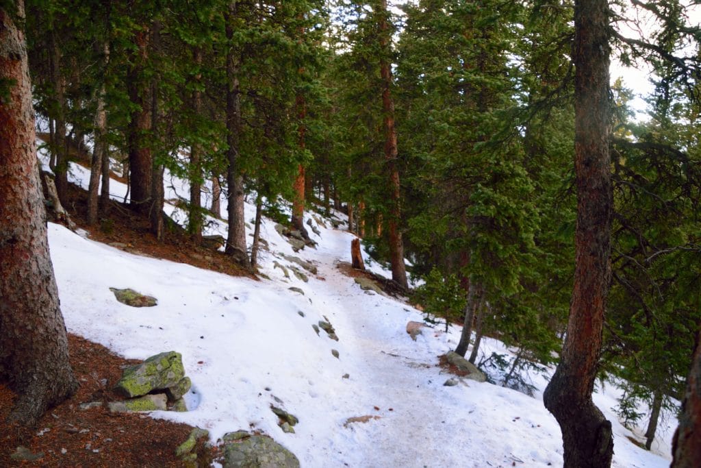 Chief Mountain Colorado Hike