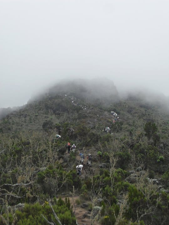 Mount Kilimanjaro Hike Review