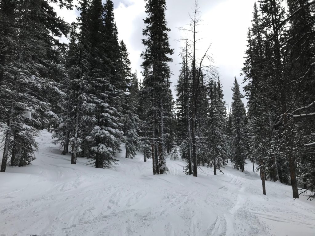 Winter Park Ski Resort Review