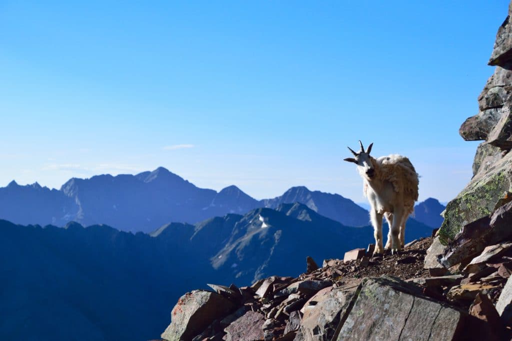 Pyramid Peak Colorado 14er Hike Review