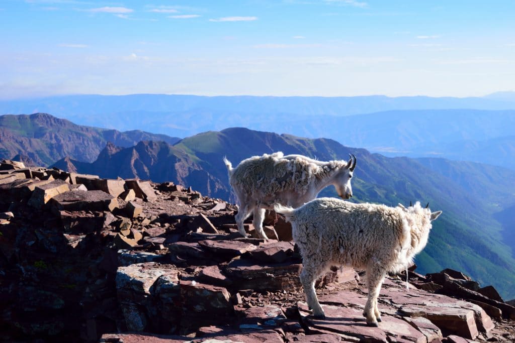 Pyramid Peak Colorado 14er Hike Review