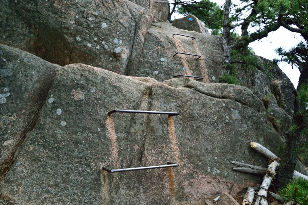 Beehive Trail Acadia National Park Hike Review