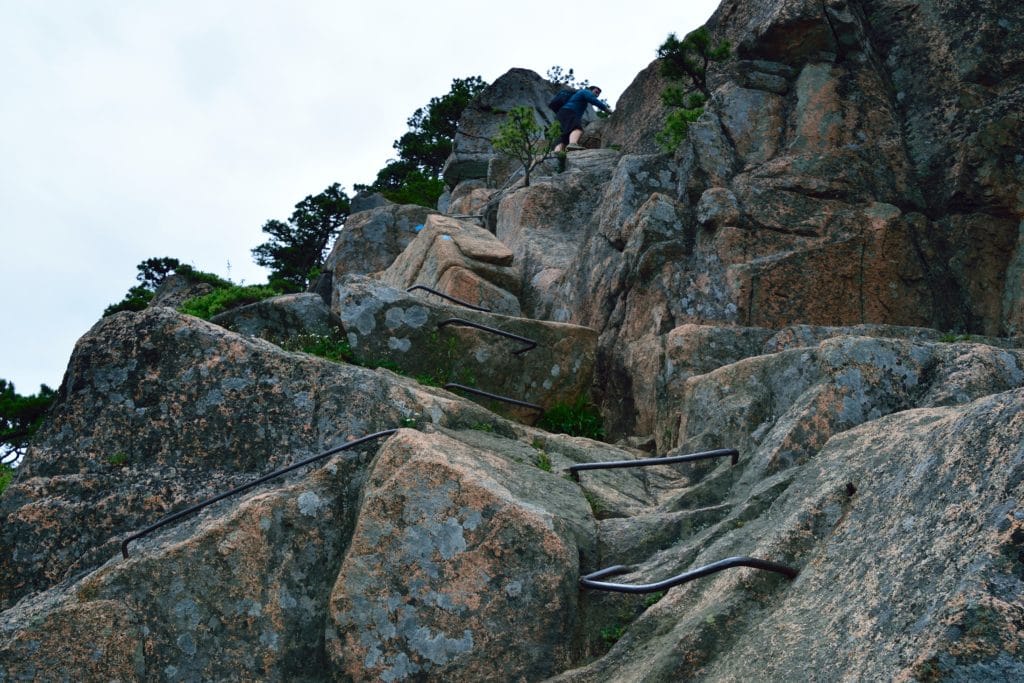 Beehive Trail Acadia National Park Hike Review