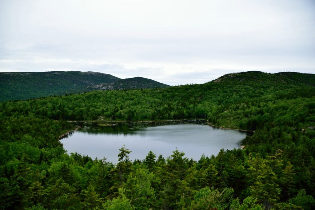 Beehive Trail Acadia National Park Hike Review