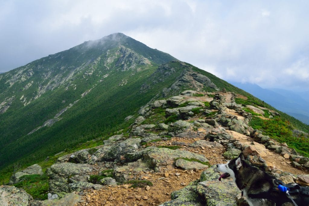 Mount Lincoln & Mount Lafayette NH Hike Review