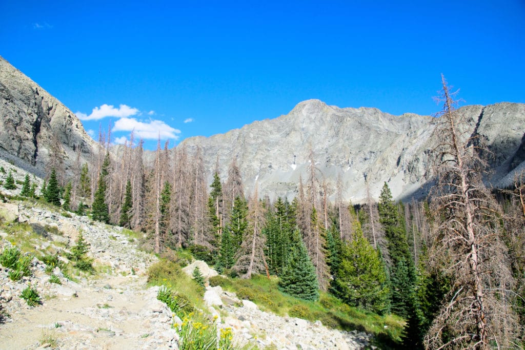 Little Bear Peak Colorado 14er Hike Information & Review