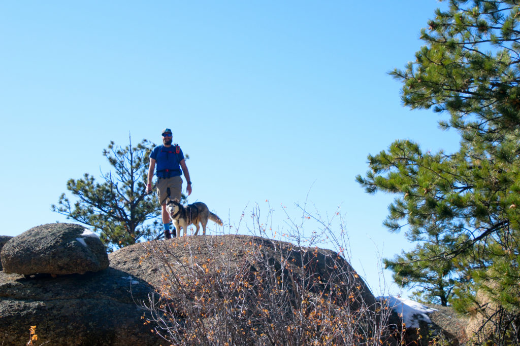 Colorado Trail Segment 3 Hike Information & Review