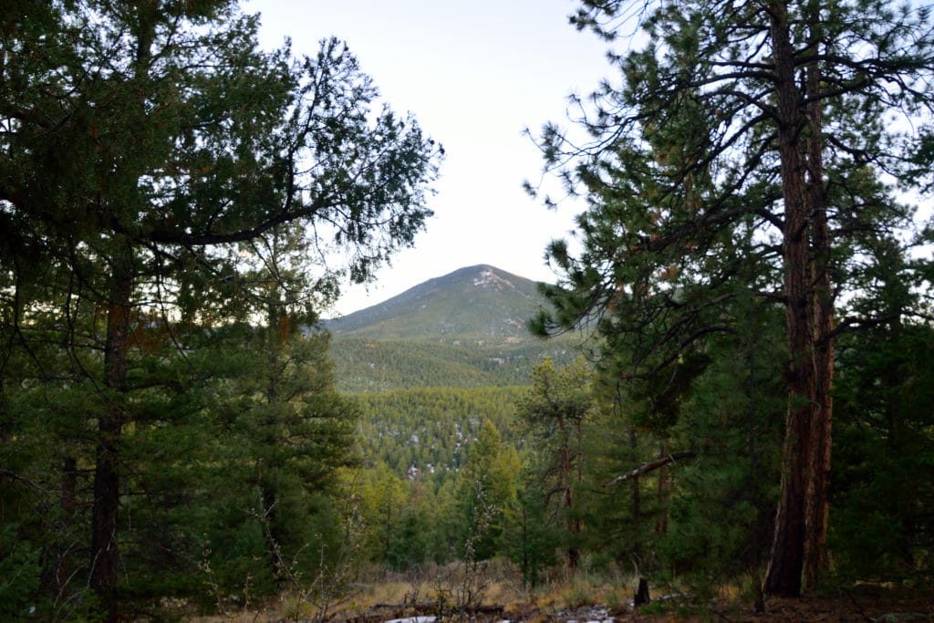 Colorado Trail Segment 3 Hike Information & Review