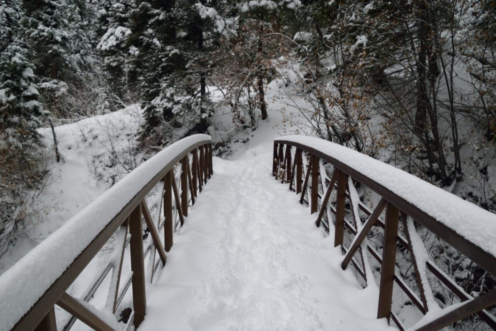 Treasure Falls Colorado Waterfall Hike Information & Review