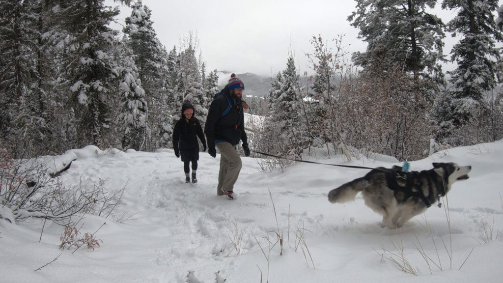 Treasure Falls Colorado Waterfall Hike Information & Review