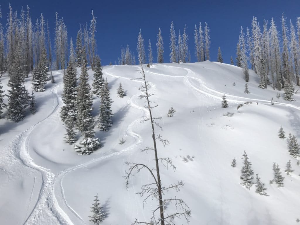 Wolf Creek Ski Area Review & Information