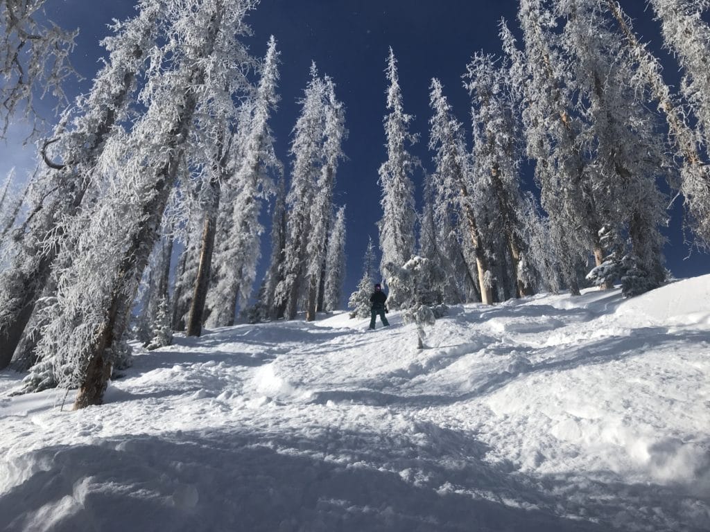 Wolf Creek Ski Area Review & Information