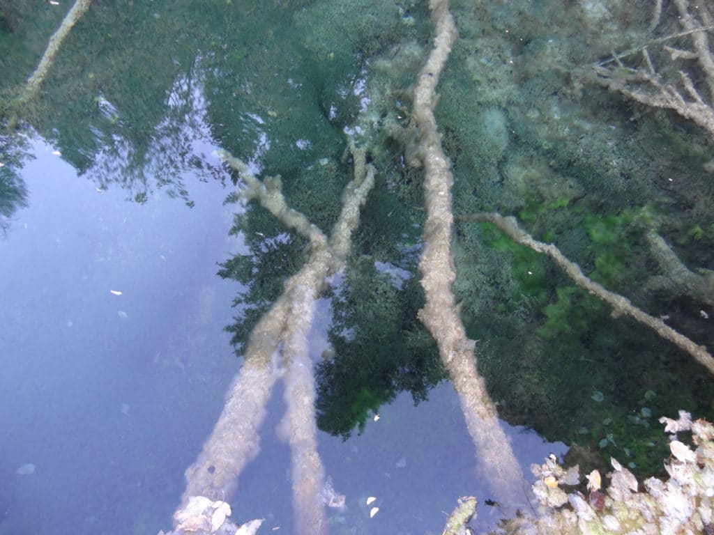 Hanging Lake Hike Guide