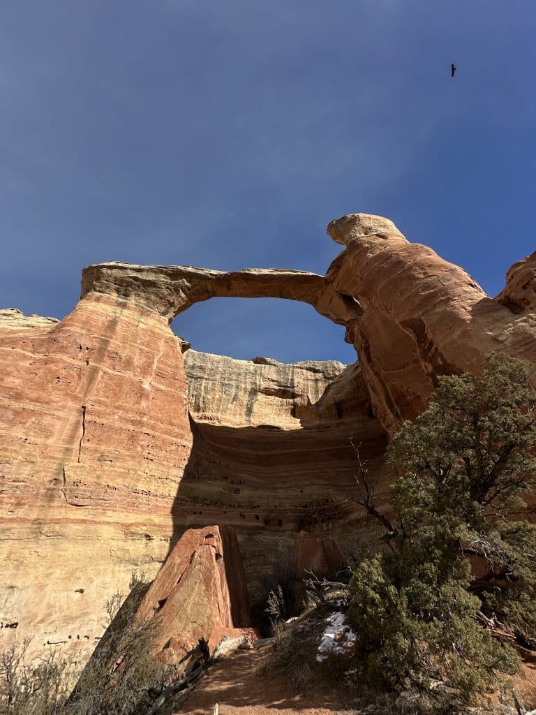 Rattlesnake Arches Colorado Hike Pictures