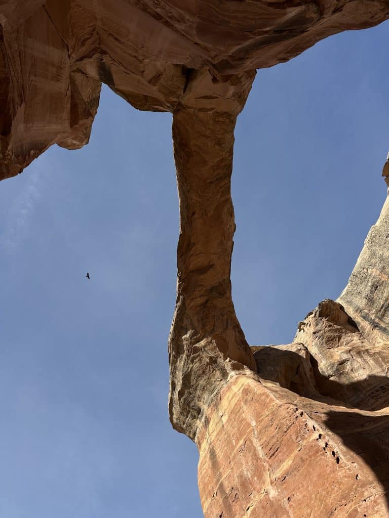 Rattlesnake Arches Colorado Hike Pictures