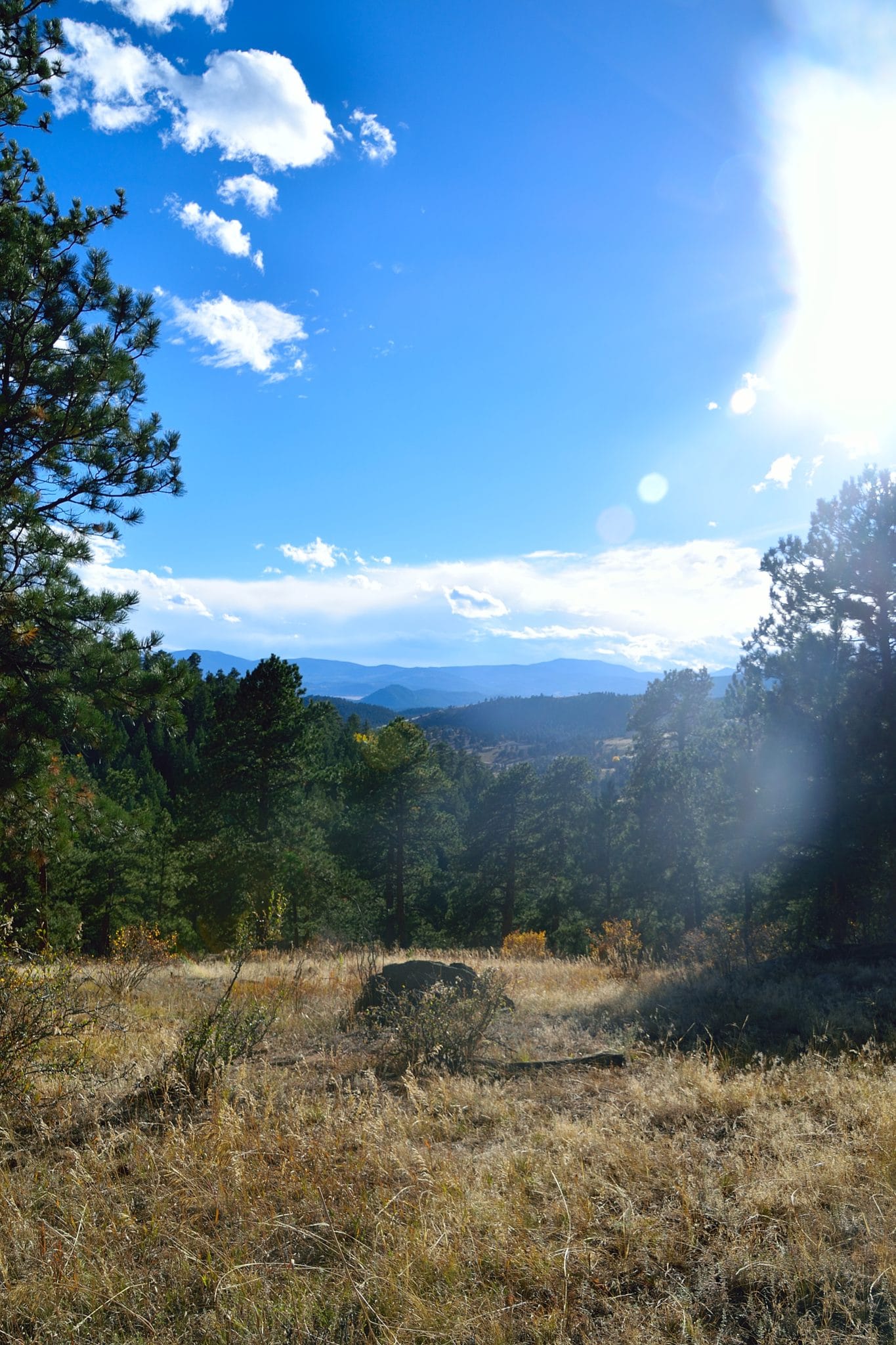 Chief Hosa Hike Loop Colorado Trail Guide - Virtual Sherpa