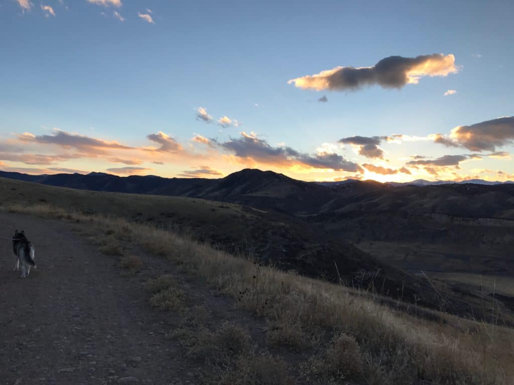 Green Mountain Open Space Review