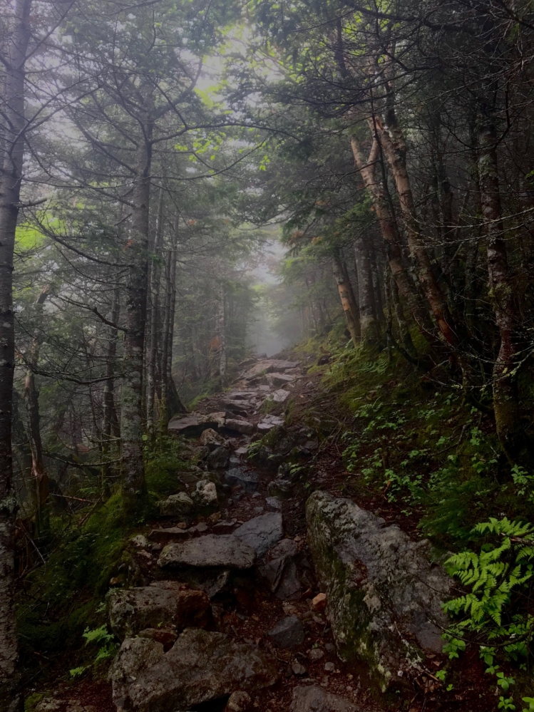 Mount Eisenhower & Mount Pierce NH Hike Review