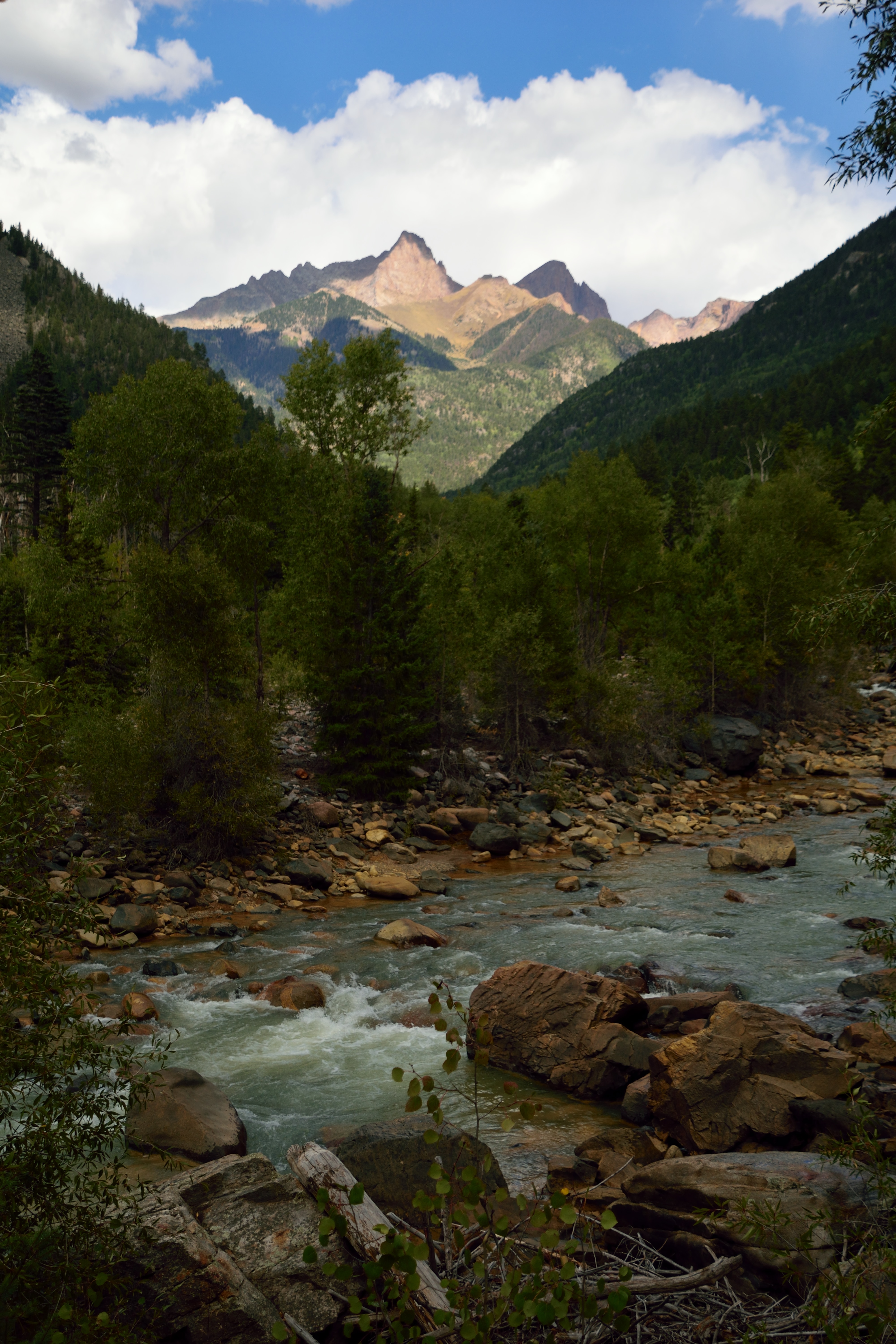 Animas River Bag