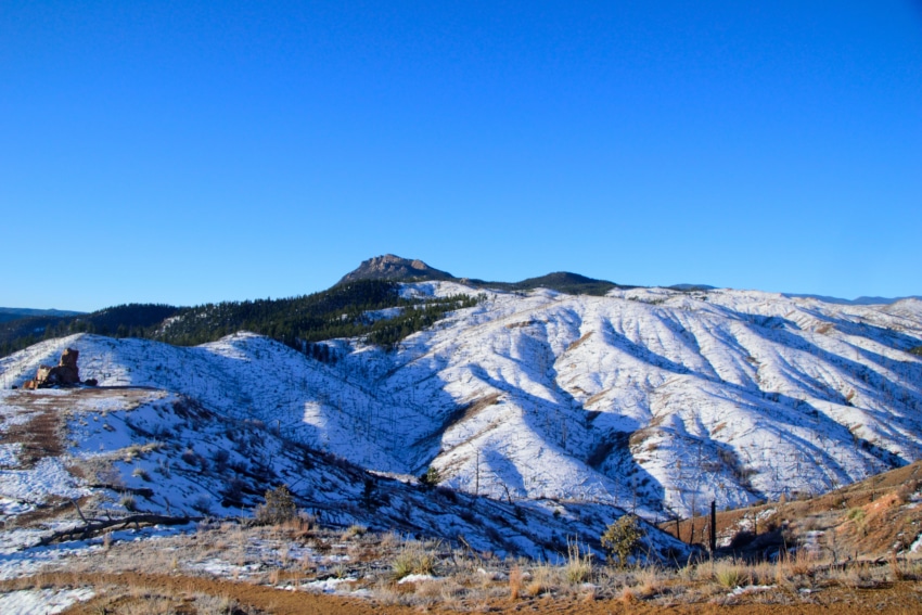 Colorado Trail Segment 2 Hike Information & Review