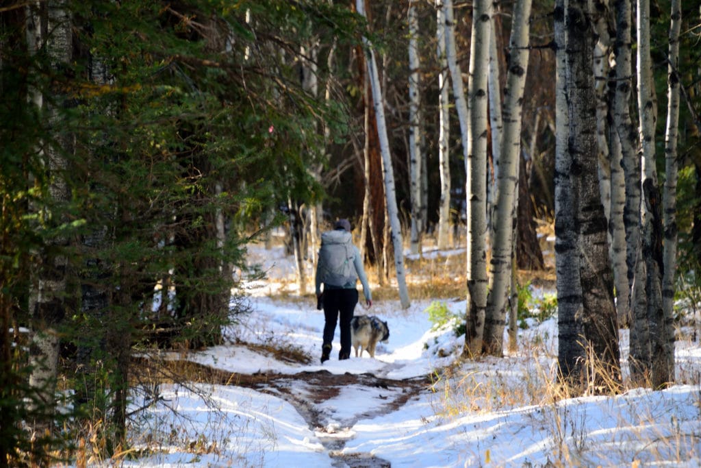 Colorado Trail Segment 3 Hike Information & Review