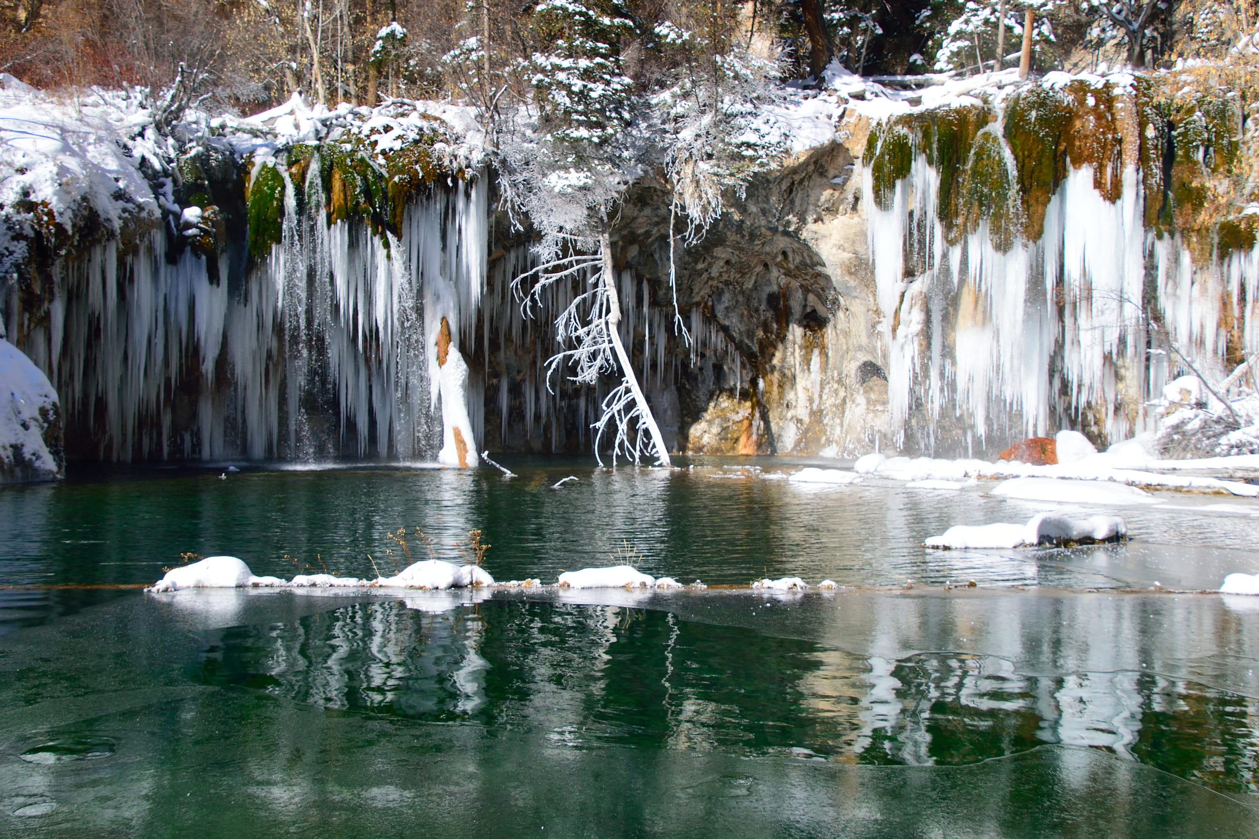 are dogs allowed at hanging lake