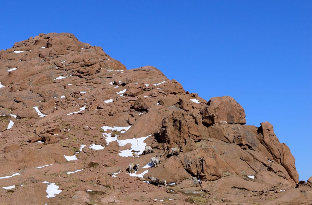 Pikes Peak Winter 14er Hike Information & Review