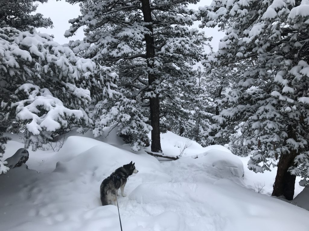 Green Mountain Boulder Winter Hike Information & Review