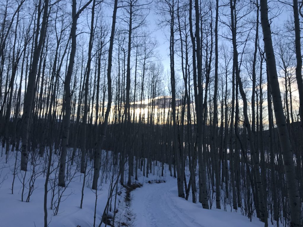 Mt Elbert Winter 14er Hike Trail Guide