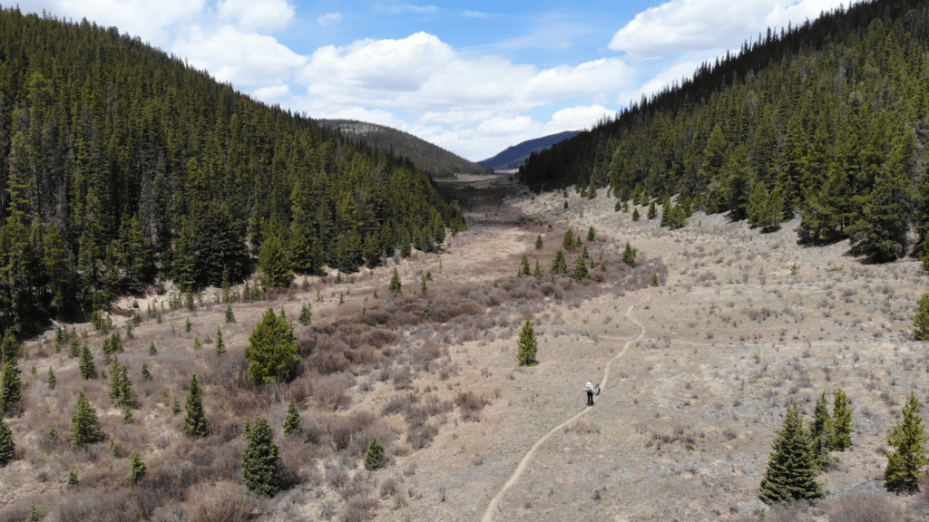 Colorado Trail Segment 4 Hike Information & Review