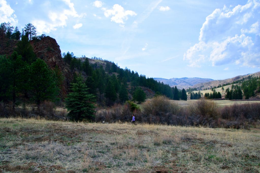 Pine Valley Ranch Park Hike Information & Review