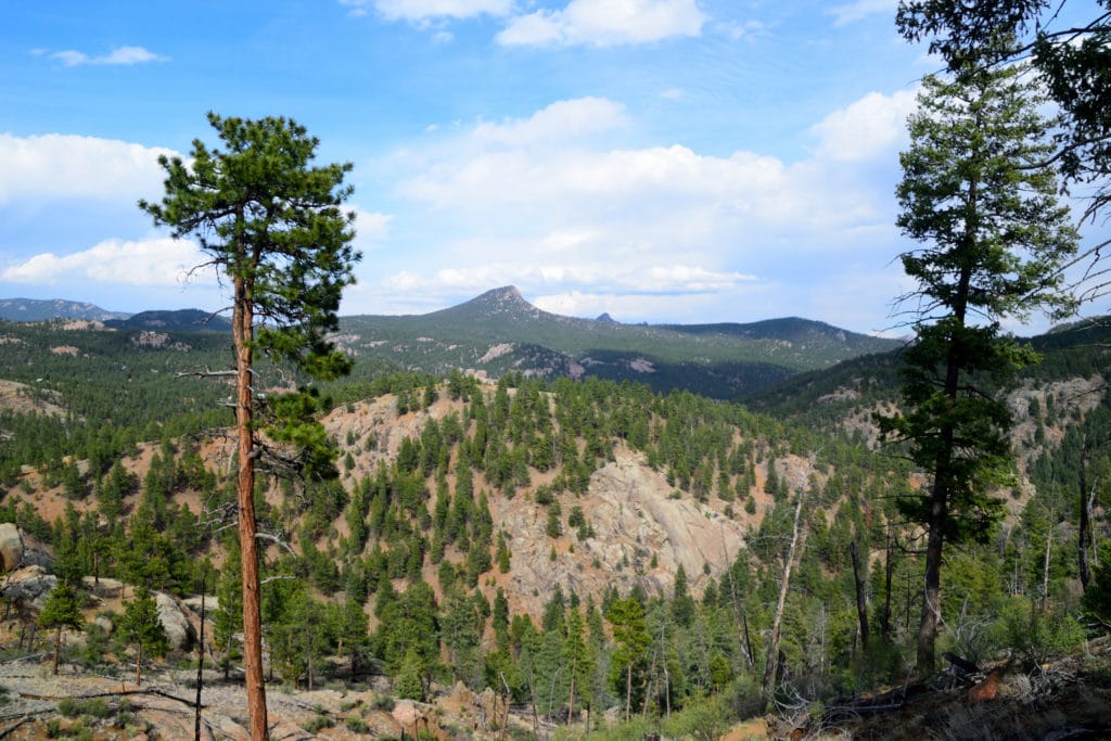 Pine Valley Ranch Park Hike Information & Review