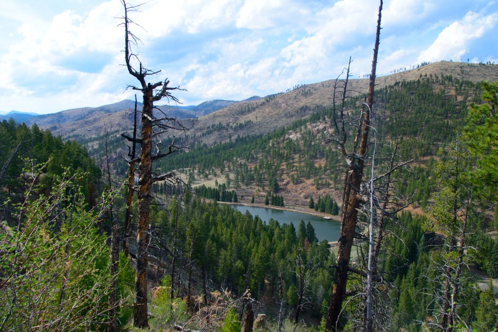 Pine Valley Ranch Park Hike Information & Review