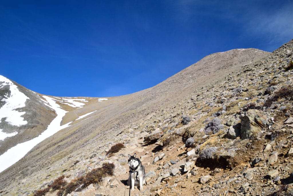 Mt Shavano & Tabeguache Peak 14er Hike Information & Review