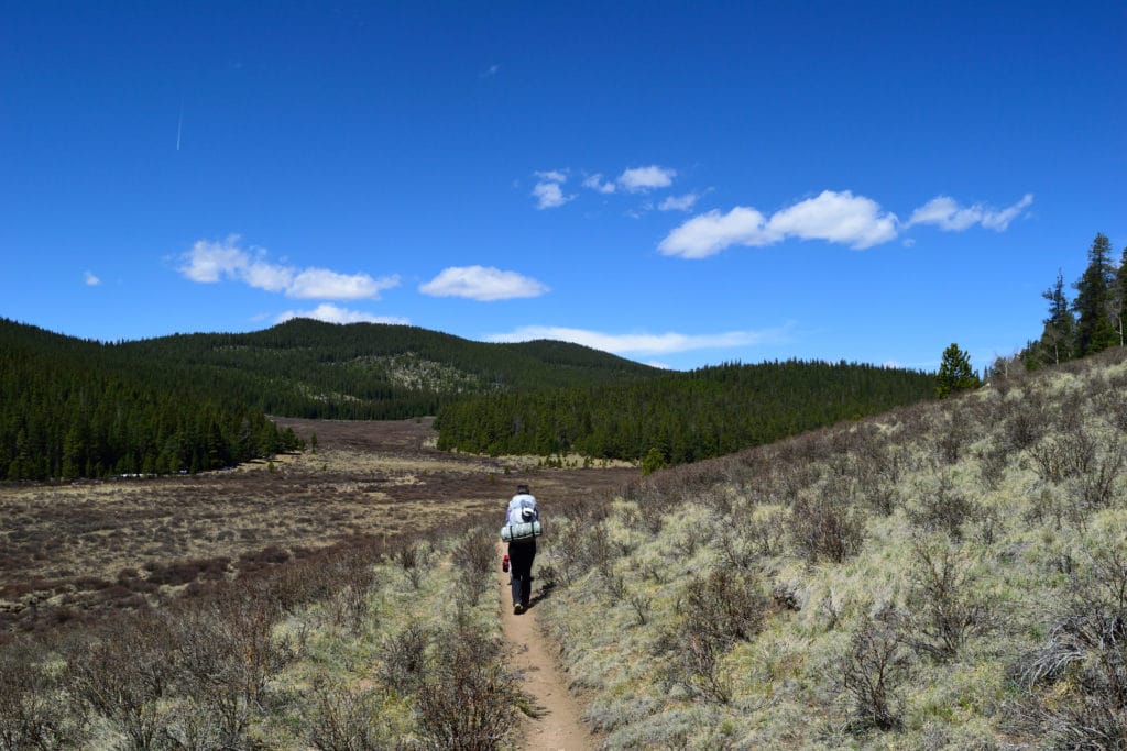 Colorado Trail Segment 4 Hike Trail Guide Virtual Sherpa   DSC 0180 1024x683 