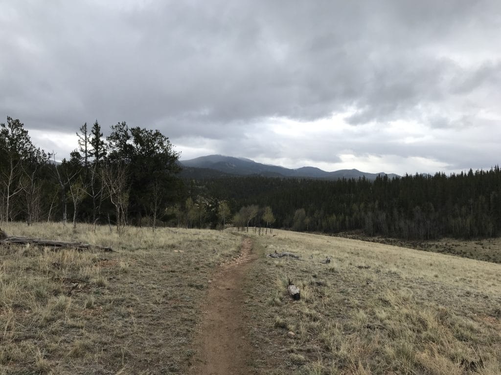 Colorado Trail Segment 5 Hike Information & Review