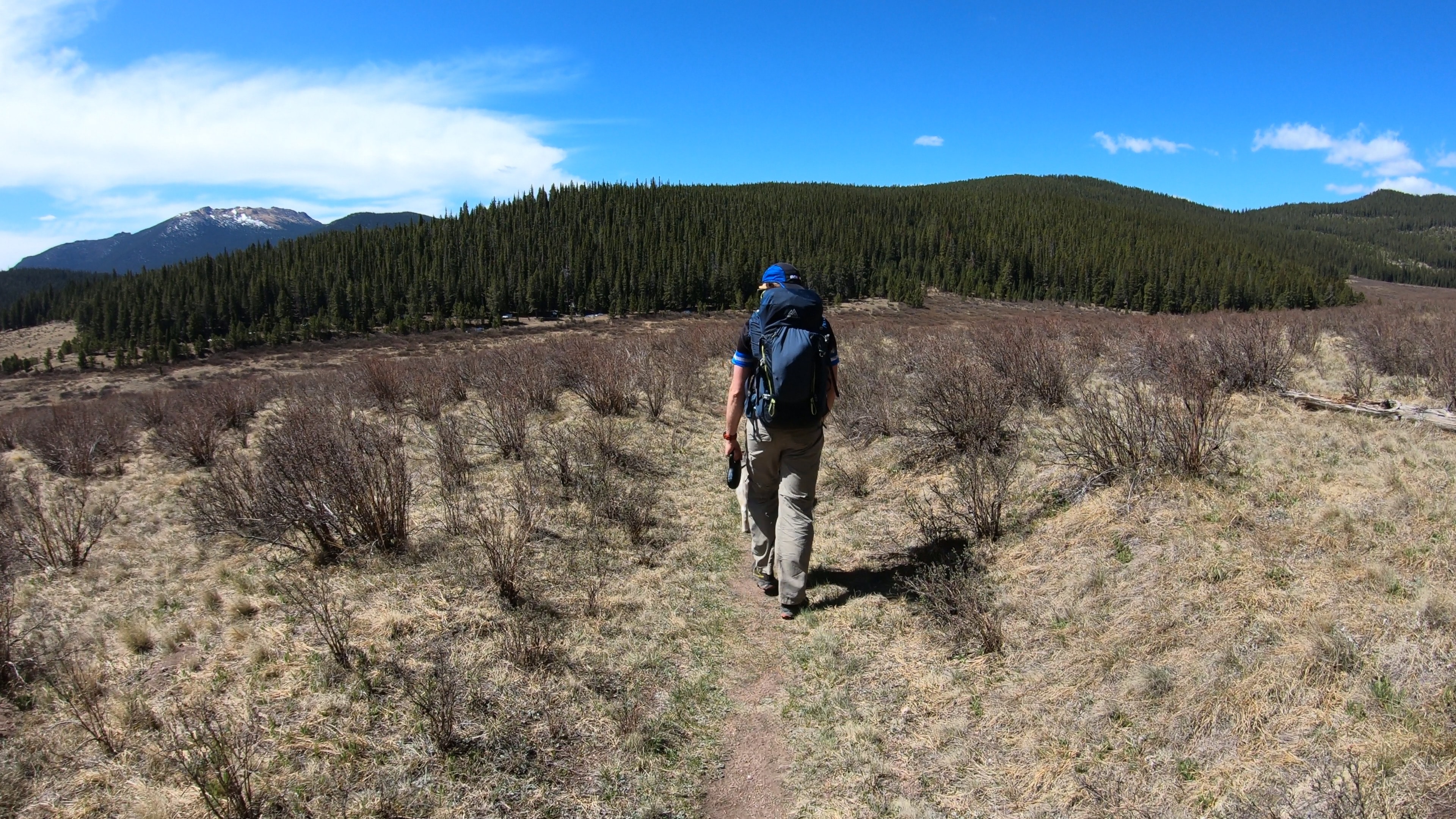 Colorado Trail Segment 4 Hike Trail Guide Virtual Sherpa   Photo May 26 11 22 11 AM 