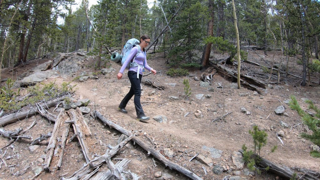 Colorado Trail Segment 4 Hike Information & Review