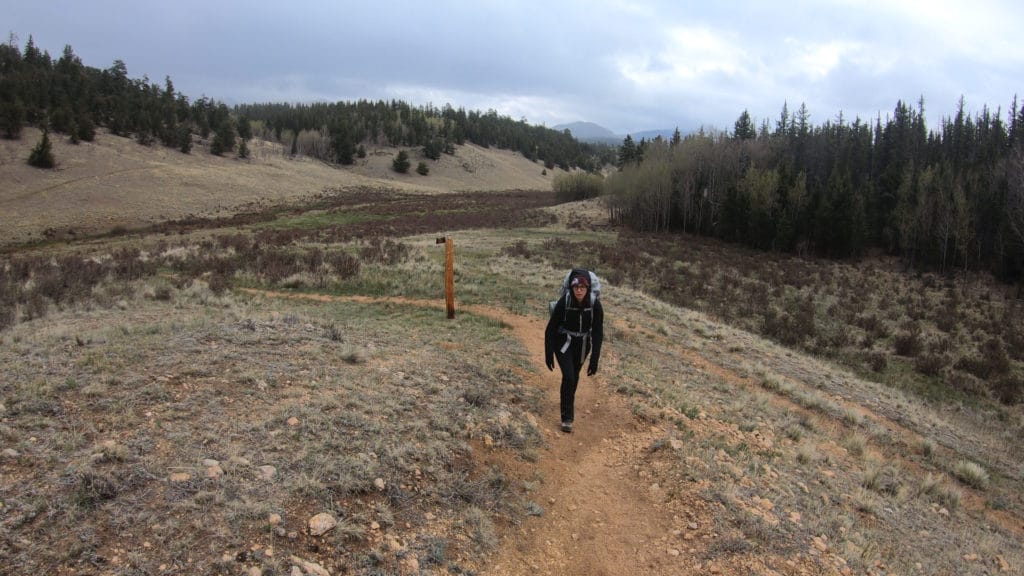 Colorado Trail Segment 5 Hike Information & Review