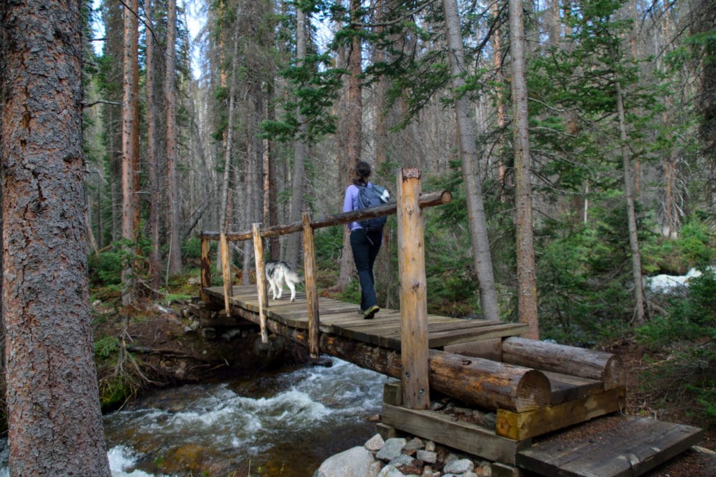 Boss Lake & Hunt Lake Trail Guide