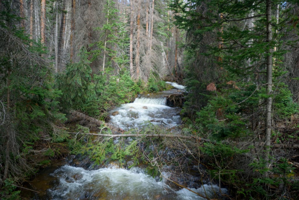 Boss Lake & Hunt Lake Trail Guide