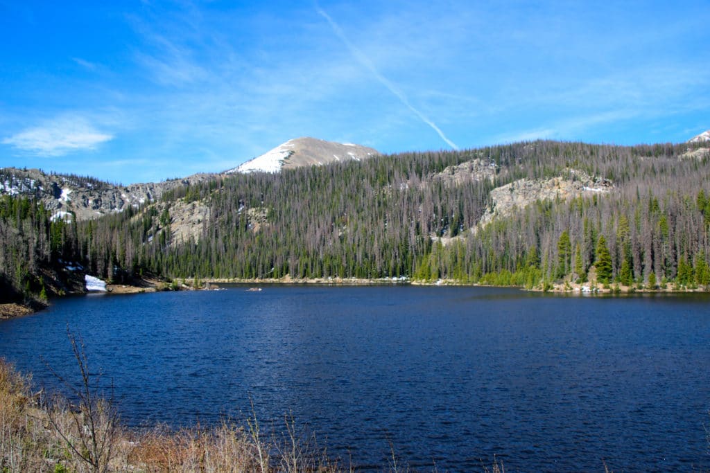 Boss Lake & Hunt Lake Trail Guide