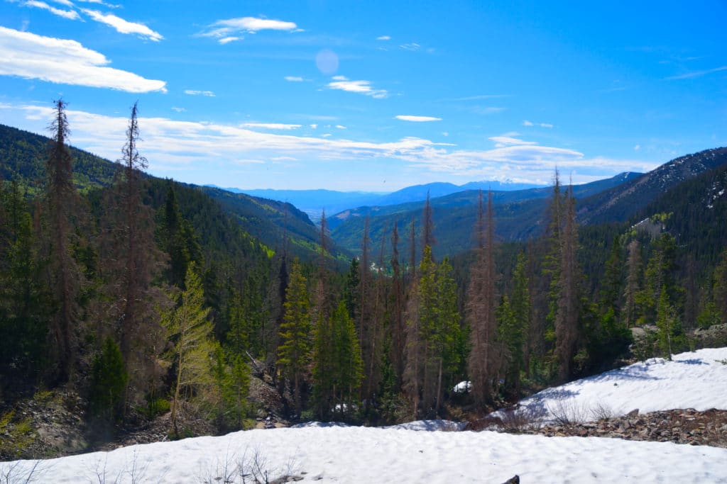 Boss Lake & Hunt Lake Trail Guide